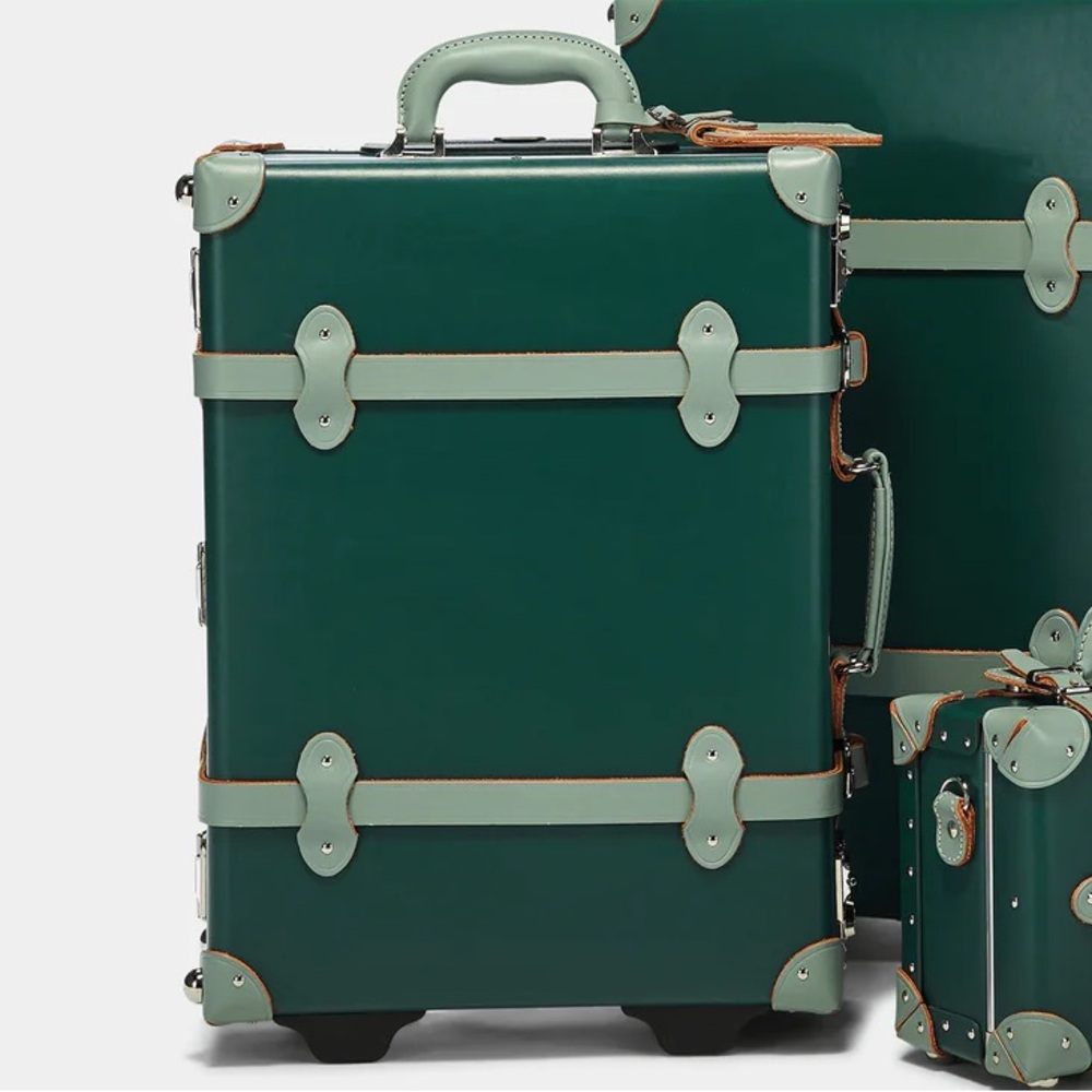 Steamline Luggage Artiste Carry-On with leather straps and printed interior